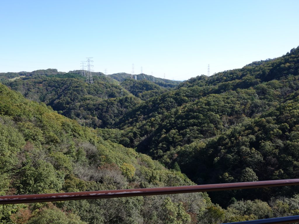 hoshida7