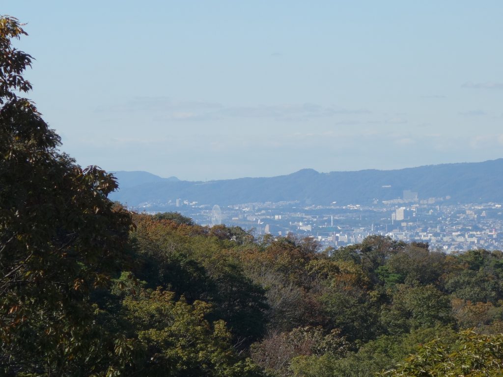 hoshida11