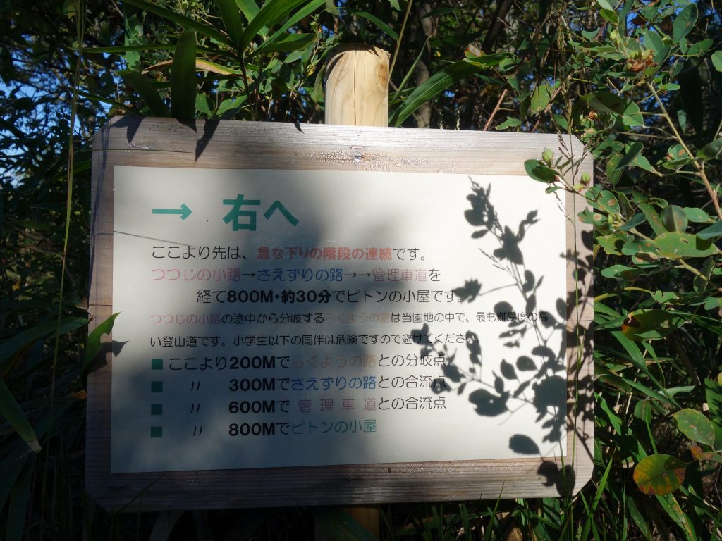 hoshida13