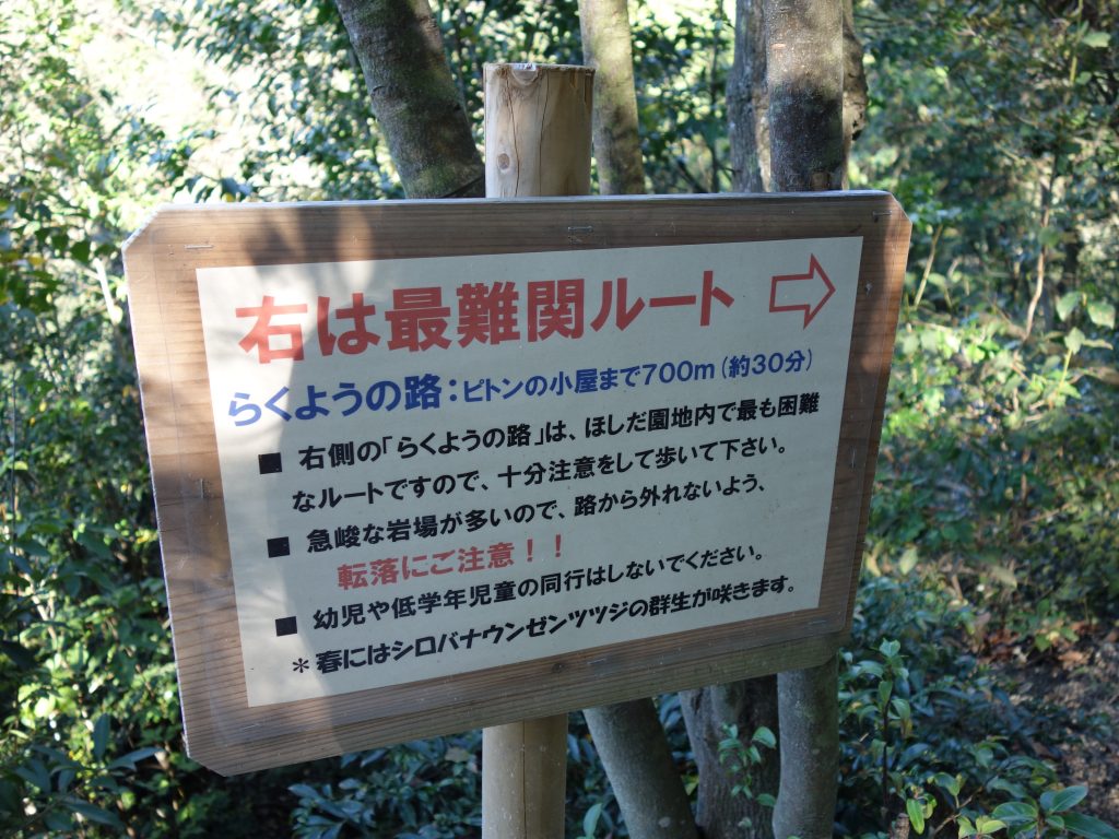 hoshida14