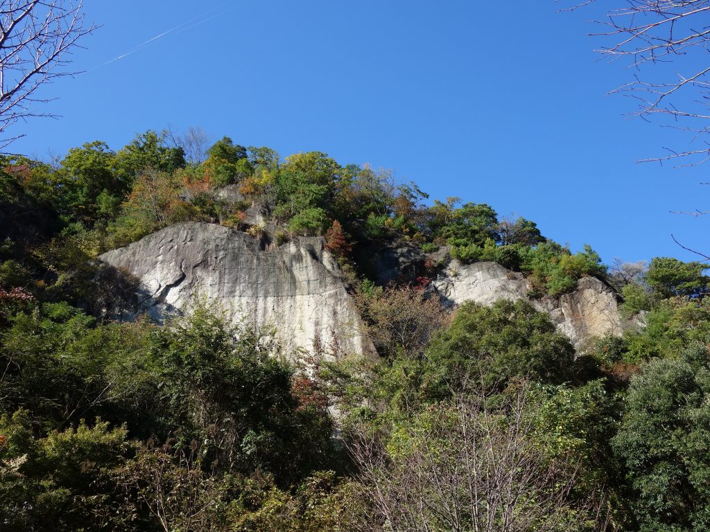 hoshida19